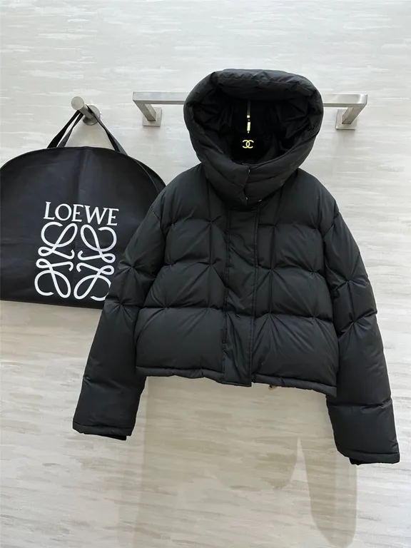 Loewe hooded down jacket